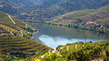 Vale do Douro