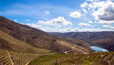 Vale do Douro