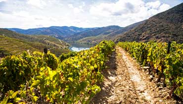 Vale do Douro