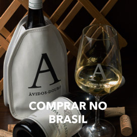 Vinhos Brasil