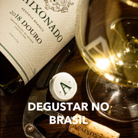 Vinhos Brasil